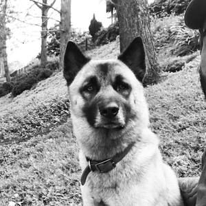 Meet your Posher, Marco